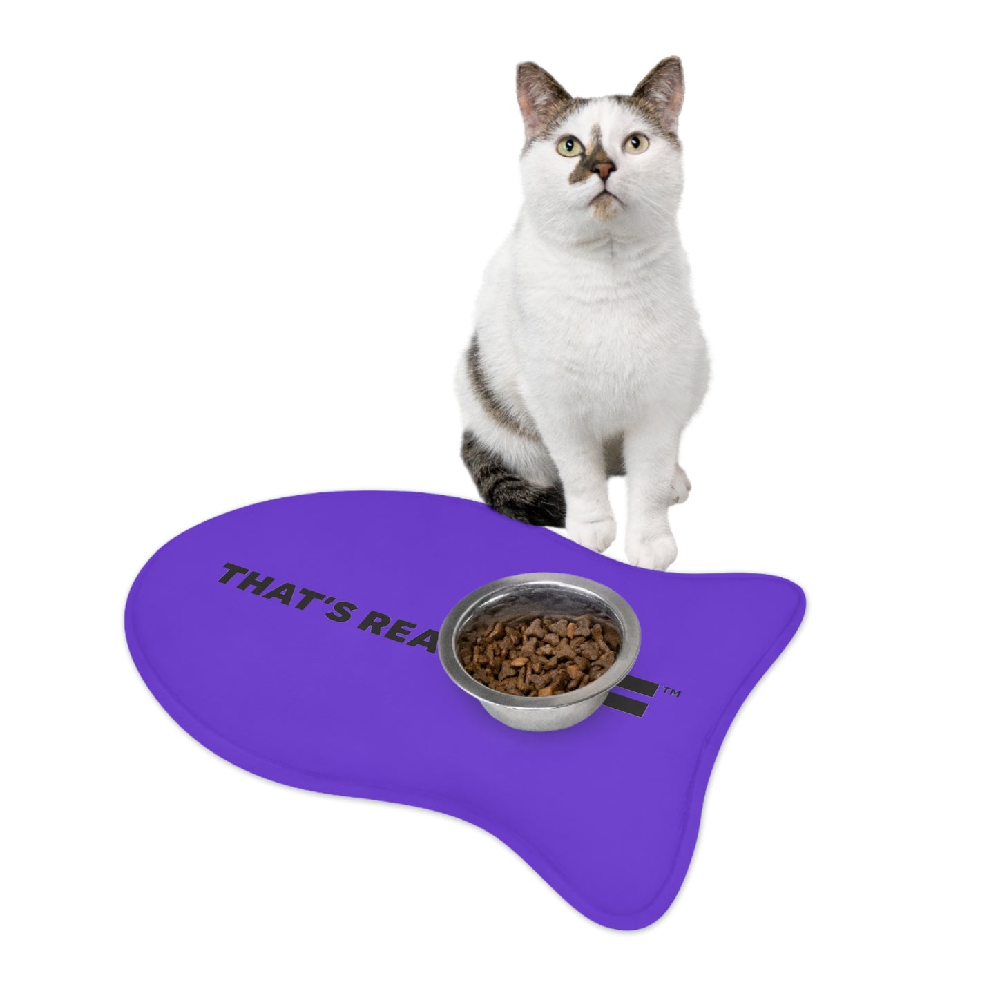 Pet Feeding Mats